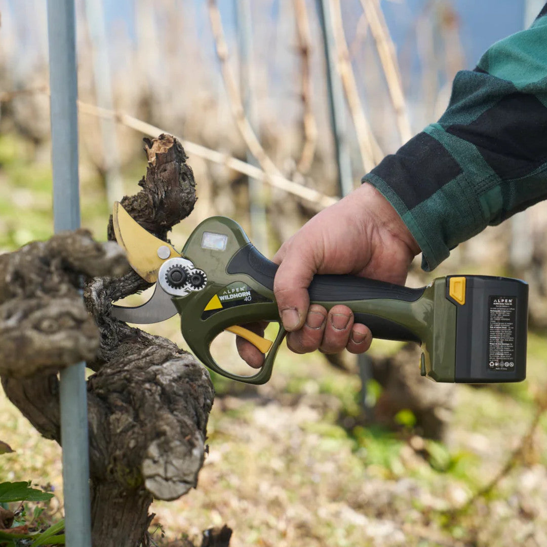 sécateur felco alpen wildhorn 40 en coupe