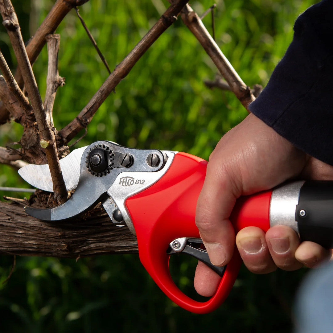 sécateur felco 812 power en situation de coupe