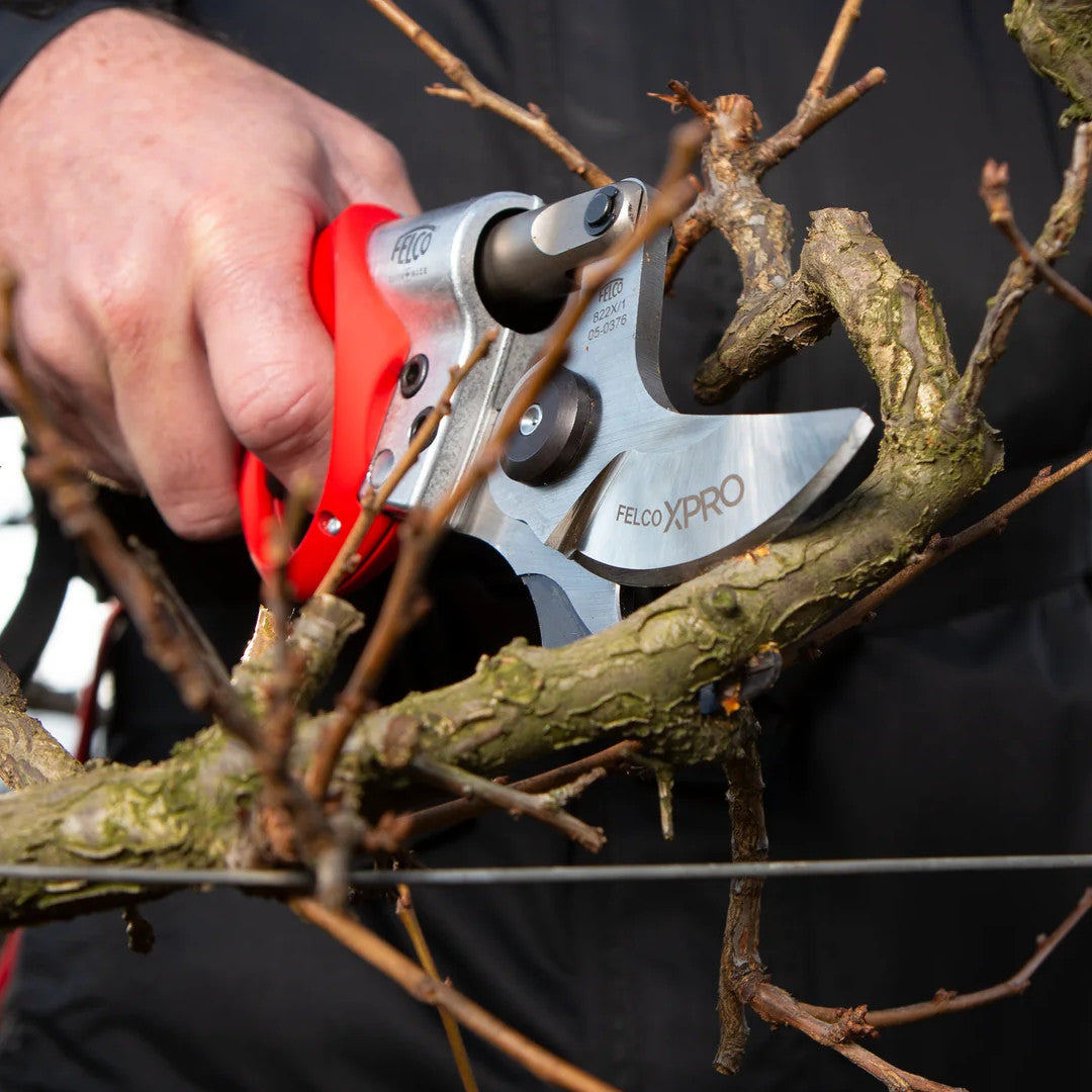 sécateur à batterie en situation de coupe