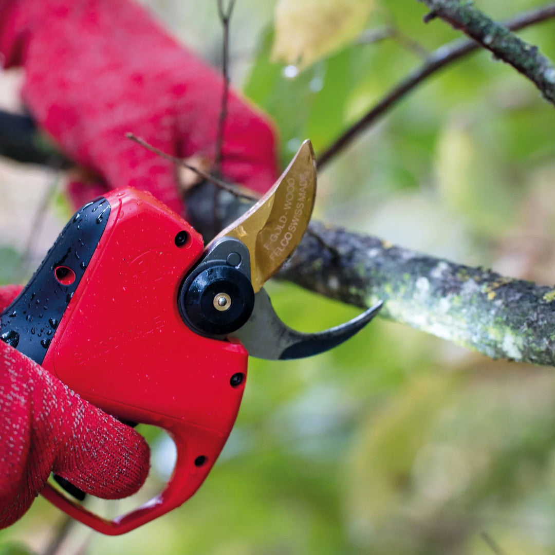 lame de secateur felco 834w