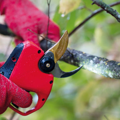 lame de secateur felco 834w