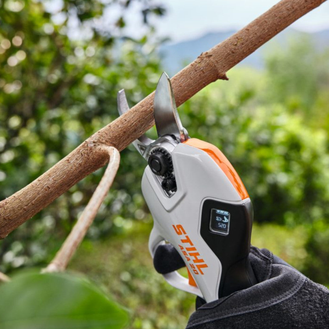 sécateur STIHL ASA 20 coupant une branche