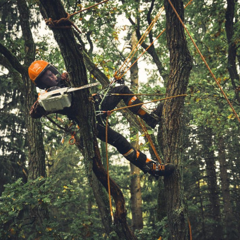 homme utilisant msa190t dans un arbre