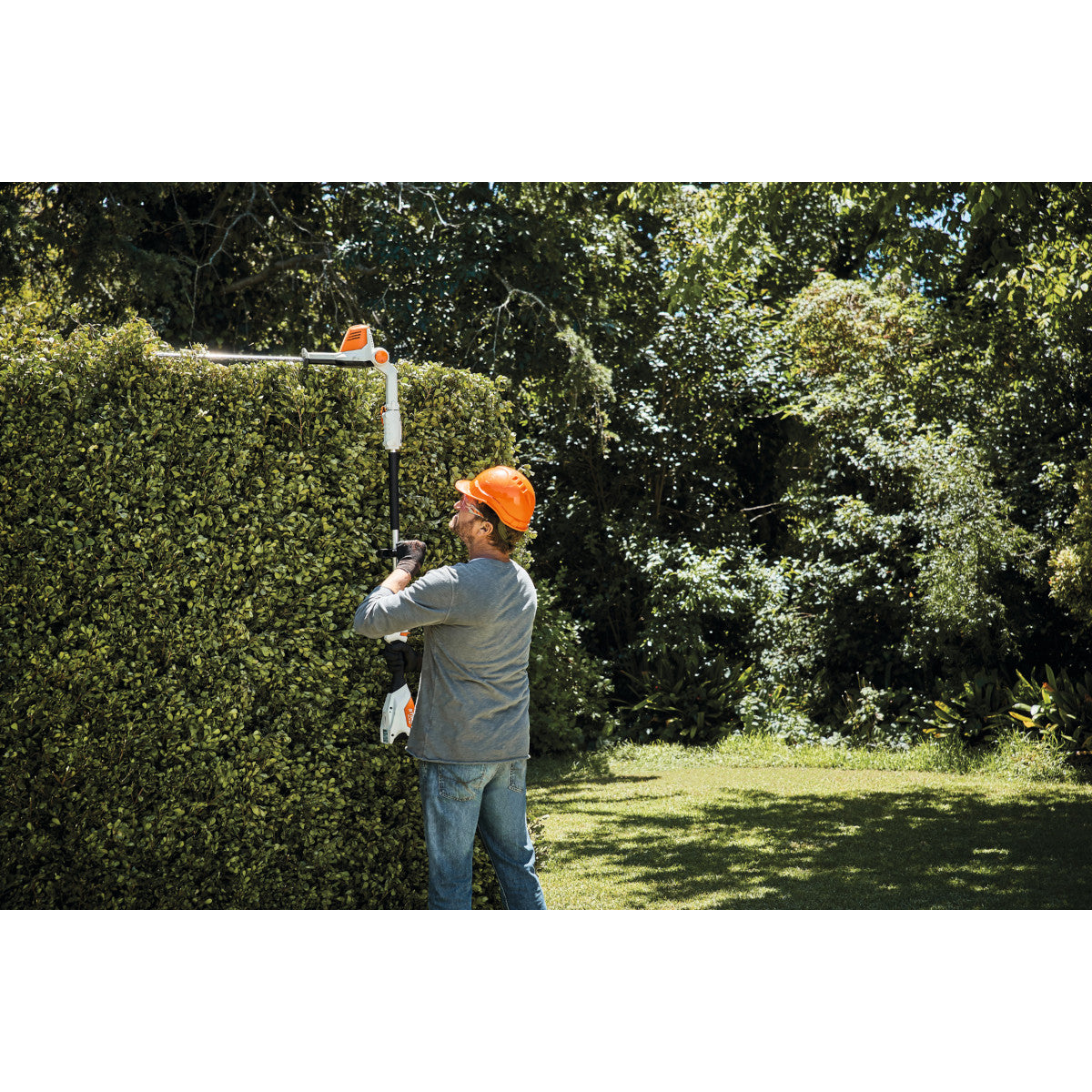 Taille-haie sur perche à batterie STIHL HLA56 Pack