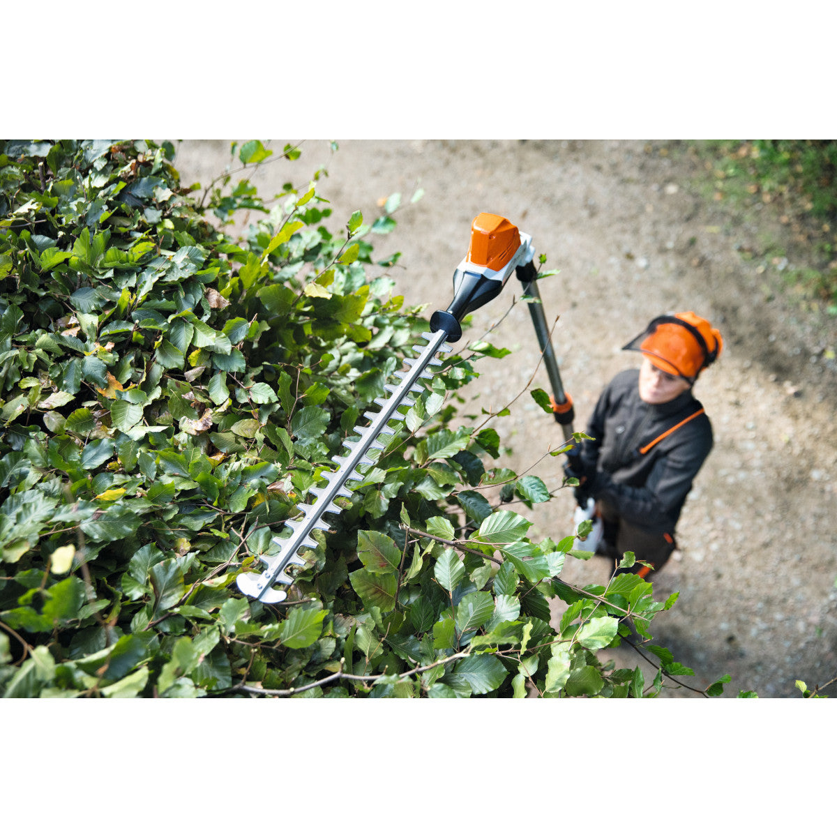 Taille-haie sur perche télescopique batterie STIHL HLA86