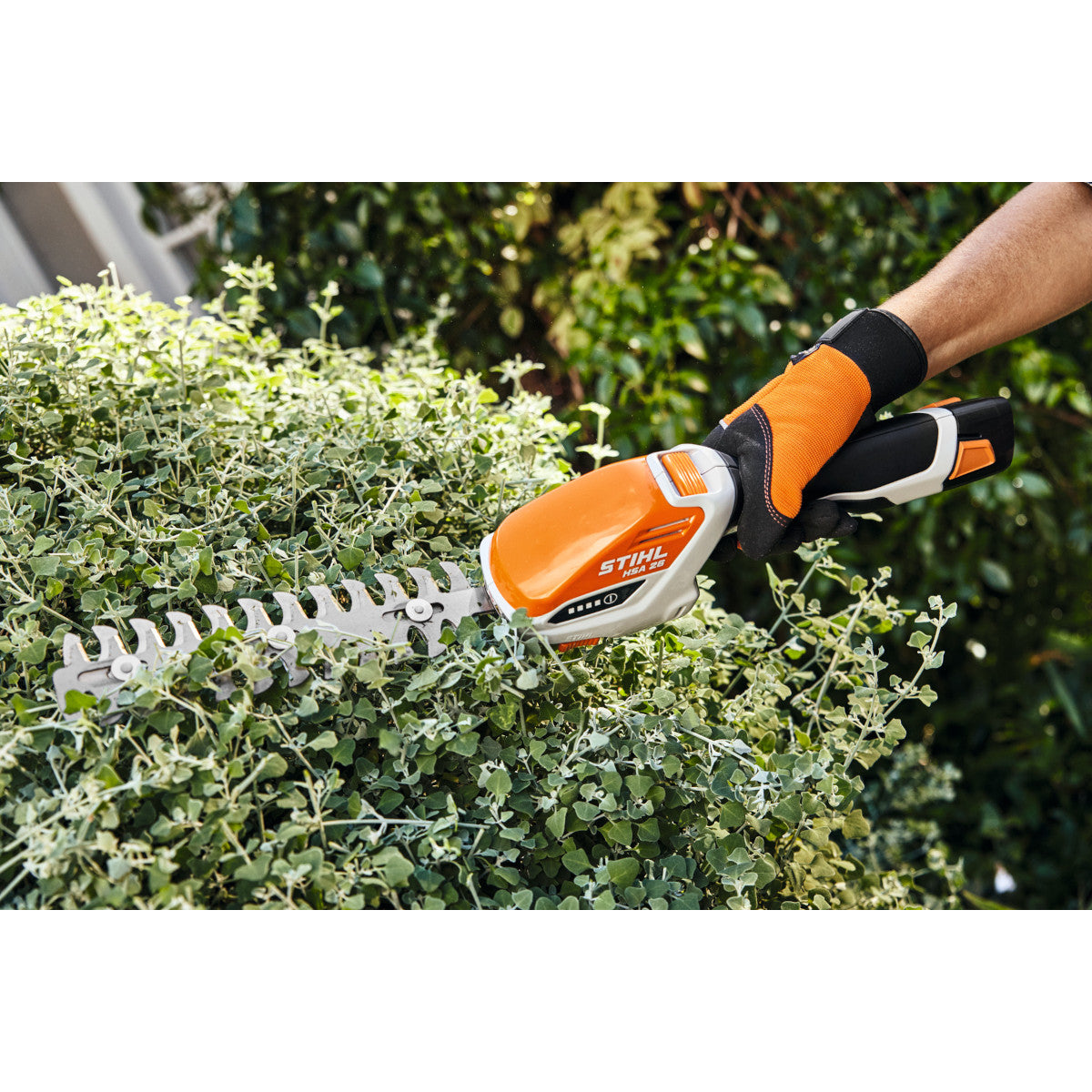 Taille-haie à batterie stihl HSA 26
