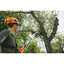 perche elagueuse stihl hta 135