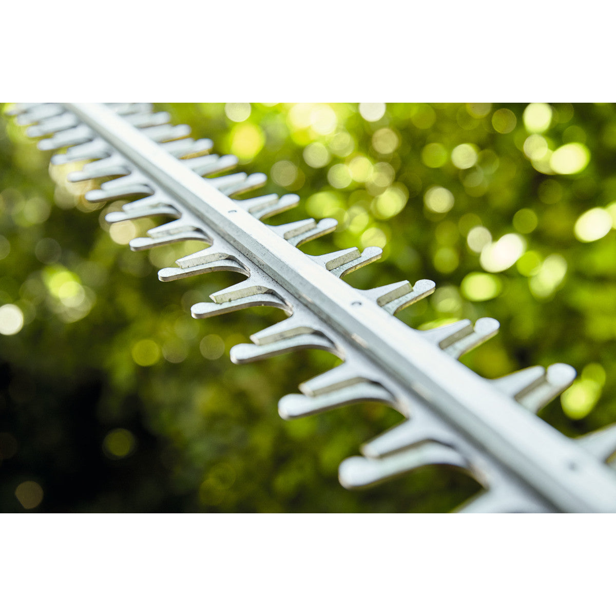 lamier taille haie stihl 