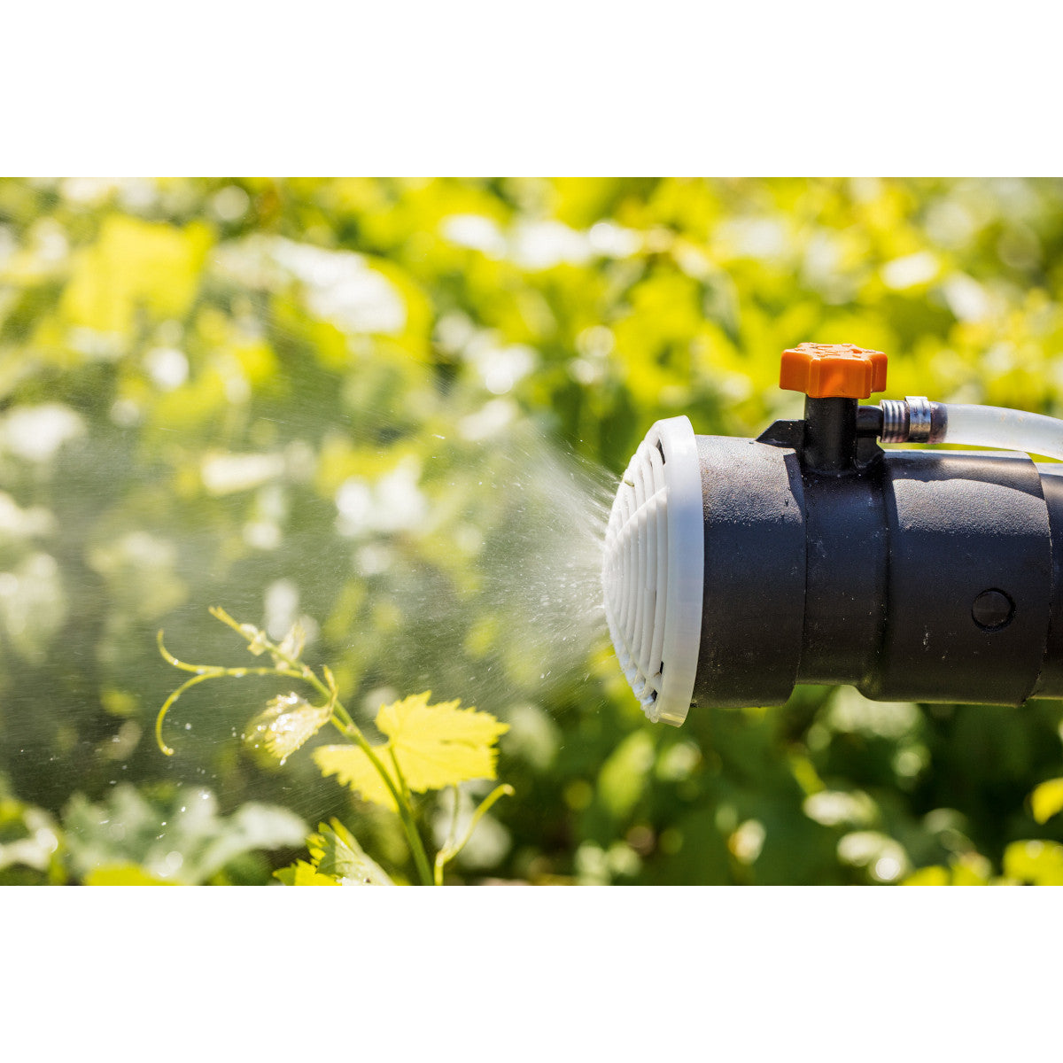 atomiseur thermique à dos stihl SR430